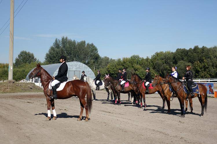 Кубок губернатора Белгородской области по конному спорту
